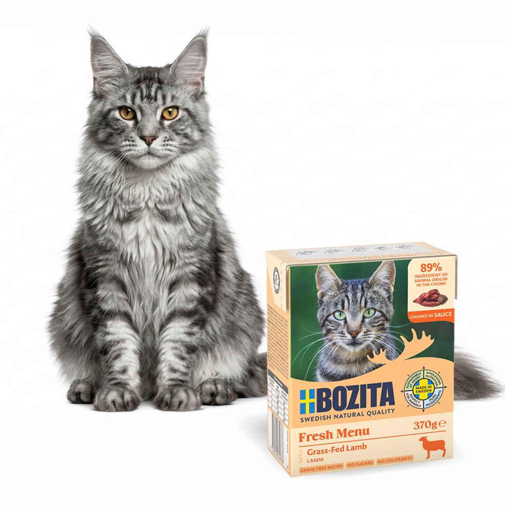 BOZITA Karma Mokra dla Kota Jagnięcina w Sosie Zestaw 9x370g